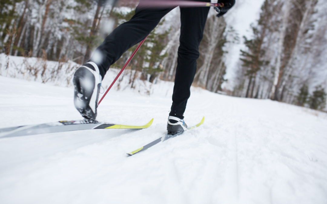 5 Best Cross Country Skis for Your Next Trip