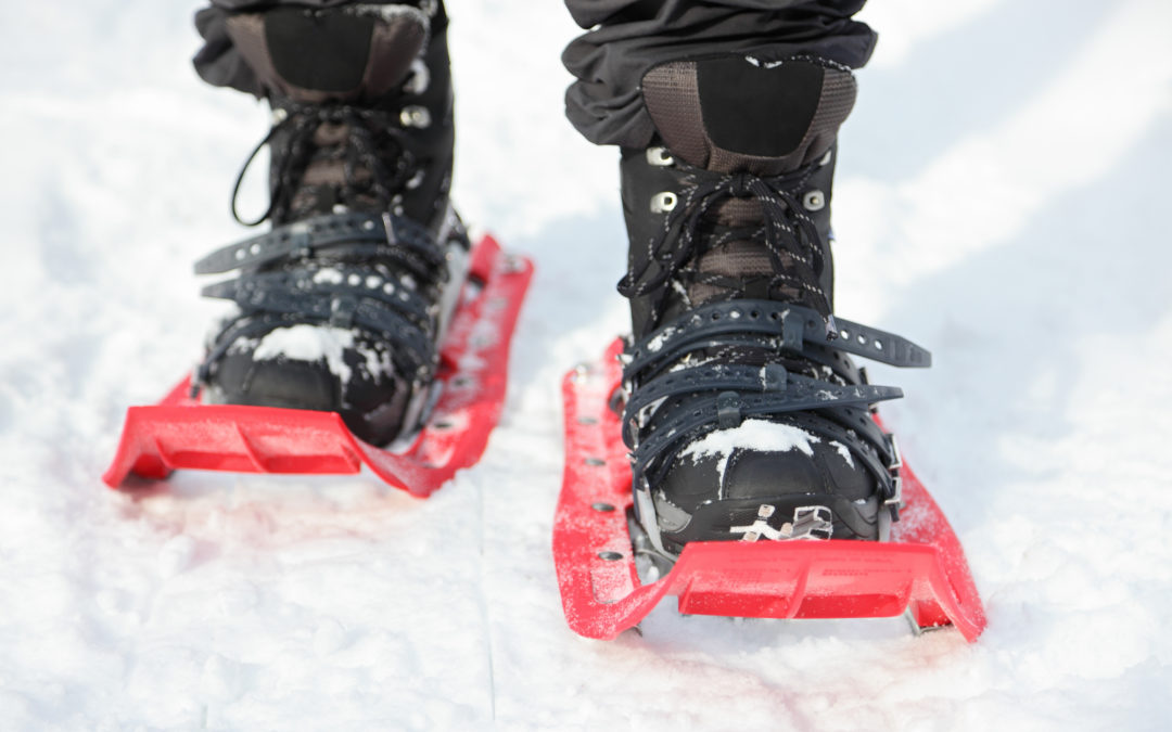 The 5 Best Snowshoes: Reviews and Buyer’s Guide