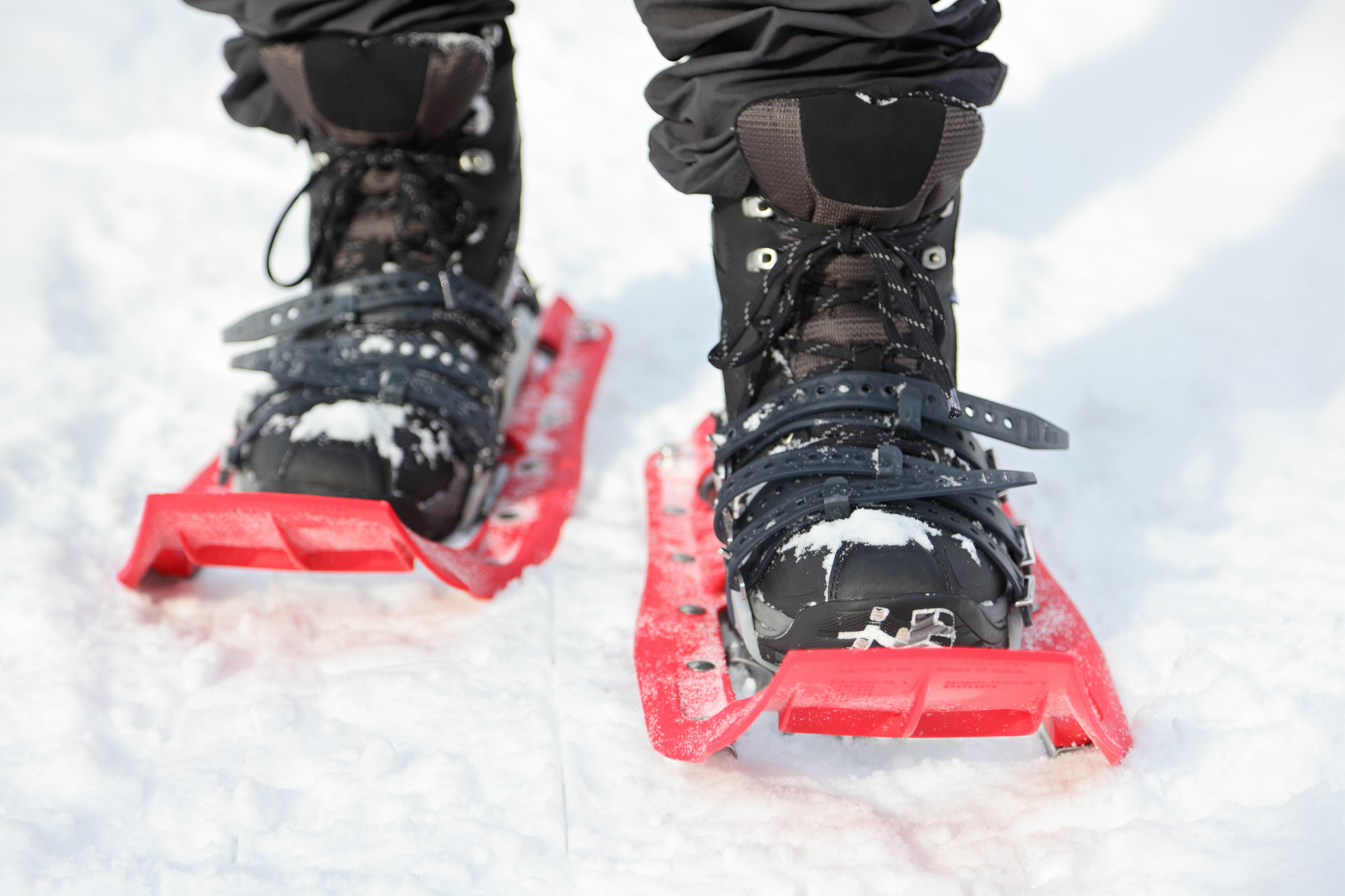 Best Snowshoes in 2020: Reviews and 